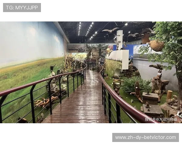 室内趣味找物挑战游戏打造沉浸式探索与观察力训练体验